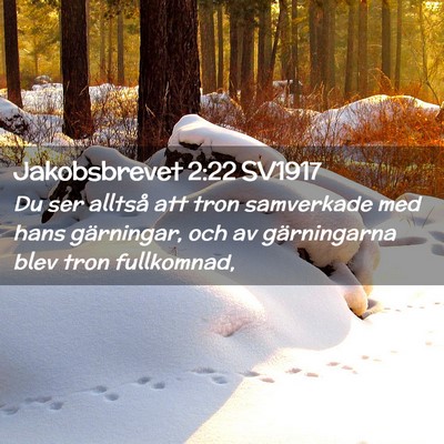 Picture 02 - Jakobsbrevet 2:22 SV1917 - Du ser alltså att tron samverkade med hans - Bible Verse Picture