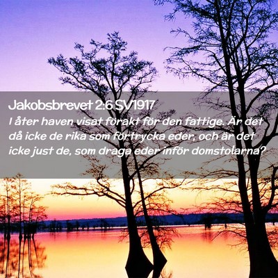 Picture 02 - Jakobsbrevet 2:6 SV1917 - I åter haven visat förakt för den fattige. Är - Bible Verse Picture