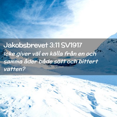 Picture 02 - Jakobsbrevet 3:11 SV1917 - Icke giver väl en källa från en och samma - Bible Verse Picture