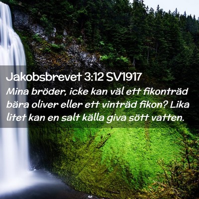 Picture 02 - Jakobsbrevet 3:12 SV1917 - Mina bröder, icke kan väl ett fikonträd bära - Bible Verse Picture