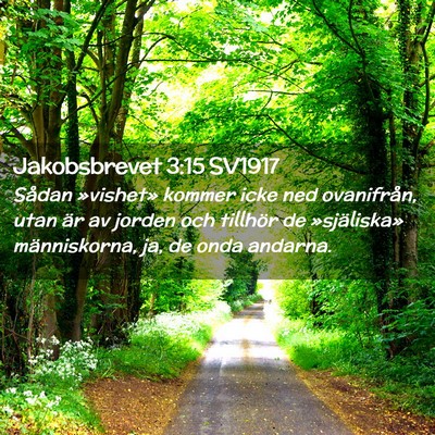 Picture 02 - Jakobsbrevet 3:15 SV1917 - Sådan »vishet» kommer icke ned ovanifrån, - Bible Verse Picture