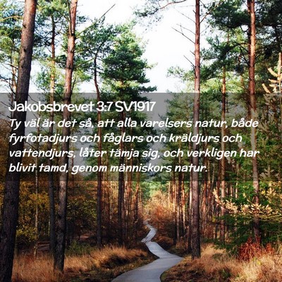 Picture 02 - Jakobsbrevet 3:7 SV1917 - Ty väl är det så, att alla varelsers natur, - Bible Verse Picture