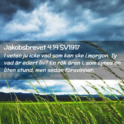 Picture 02 - Jakobsbrevet 4:14 SV1917 - I veten ju icke vad som kan ske i morgon. Ty vad - Bible Verse Picture