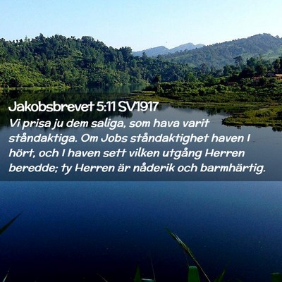 Picture 02 - Jakobsbrevet 5:11 SV1917 - Vi prisa ju dem saliga, som hava varit - Bible Verse Picture