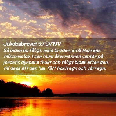 Picture 02 - Jakobsbrevet 5:7 SV1917 - Så biden nu tåligt, mina bröder, intill - Bible Verse Picture