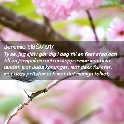Picture 02 - Jeremia 1:18 SV1917 - Ty se, jag själv gör dig i dag till en fast - Bible Verse Picture