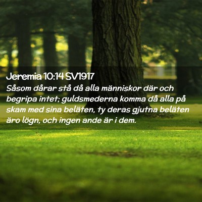 Picture 02 - Jeremia 10:14 SV1917 - Såsom dårar stå då alla människor där och - Bible Verse Picture
