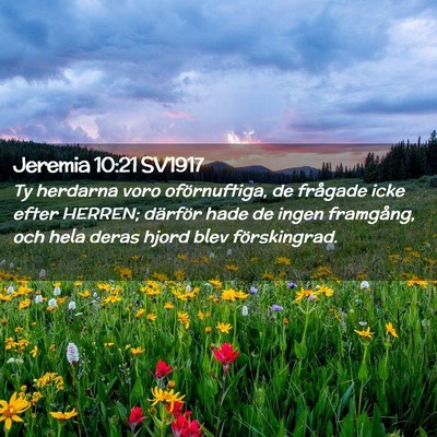 Picture 02 - Jeremia 10:21 SV1917 - Ty herdarna voro oförnuftiga, de frågade icke - Bible Verse Picture