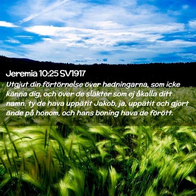Picture 02 - Jeremia 10:25 SV1917 - Utgjut din förtörnelse över hedningarna, som - Bible Verse Picture
