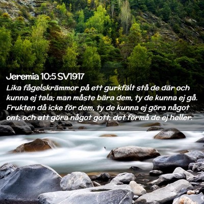 Picture 02 - Jeremia 10:5 SV1917 - Lika fågelskrämmor på ett gurkfält stå de - Bible Verse Picture