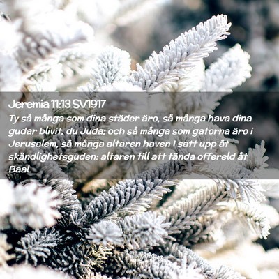Picture 02 - Jeremia 11:13 SV1917 - Ty så många som dina städer äro, så många - Bible Verse Picture