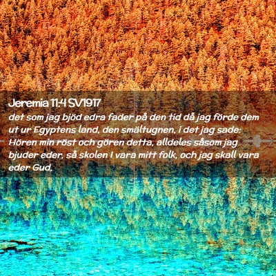 Picture 02 - Jeremia 11:4 SV1917 - det som jag bjöd edra fader på den tid då jag - Bible Verse Picture