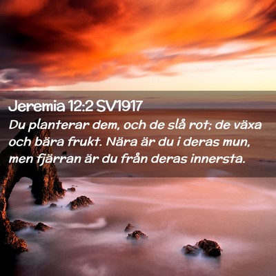 Picture 02 - Jeremia 12:2 SV1917 - Du planterar dem, och de slå rot; de växa och - Bible Verse Picture