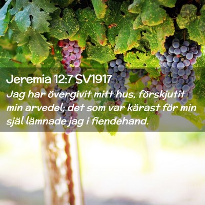 Picture 02 - Jeremia 12:7 SV1917 - Jag har övergivit mitt hus, förskjutit min - Bible Verse Picture
