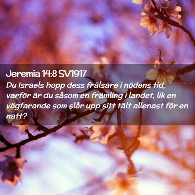 Picture 02 - Jeremia 14:8 SV1917 - Du Israels hopp dess frälsare i nödens tid, - Bible Verse Picture
