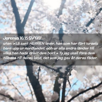Picture 02 - Jeremia 16:15 SV1917 - utan: »Så sant HERREN lever, han som har fört - Bible Verse Picture
