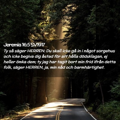 Picture 02 - Jeremia 16:5 SV1917 - Ty så säger HERREN: Du skall icke gå in i - Bible Verse Picture