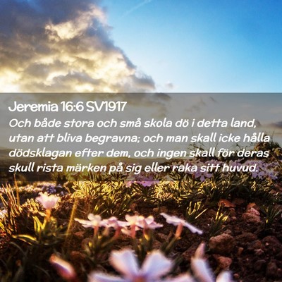 Picture 02 - Jeremia 16:6 SV1917 - Och både stora och små skola dö i detta land, - Bible Verse Picture