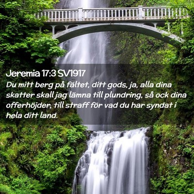 Picture 02 - Jeremia 17:3 SV1917 - Du mitt berg på fältet, ditt gods, ja, alla - Bible Verse Picture