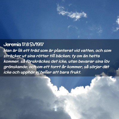 Picture 02 - Jeremia 17:8 SV1917 - Han är lik ett träd som är planterat vid - Bible Verse Picture