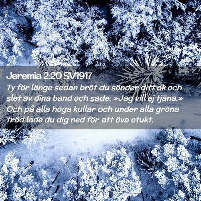 Picture 02 - Jeremia 2:20 SV1917 - Ty för länge sedan bröt du sönder ditt ok och - Bible Verse Picture