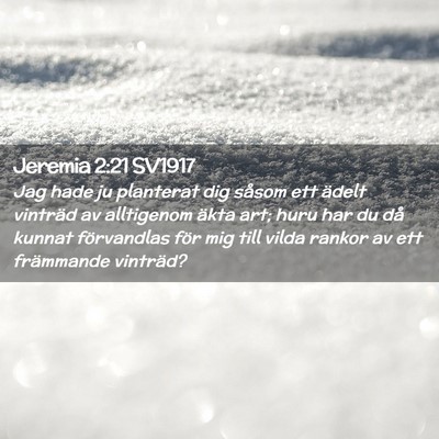 Picture 02 - Jeremia 2:21 SV1917 - Jag hade ju planterat dig såsom ett ädelt - Bible Verse Picture