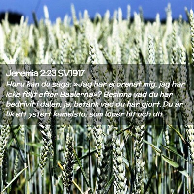 Picture 02 - Jeremia 2:23 SV1917 - Huru kan du säga: »Jag har ej orenat mig, jag - Bible Verse Picture