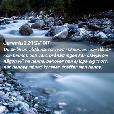 Picture 02 - Jeremia 2:24 SV1917 - Du är lik en vildåsna, fostrad i öknen, en som - Bible Verse Picture