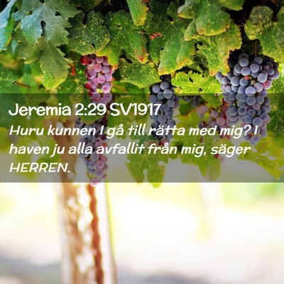 Picture 02 - Jeremia 2:29 SV1917 - Huru kunnen I gå till rätta med mig? I haven ju - Bible Verse Picture