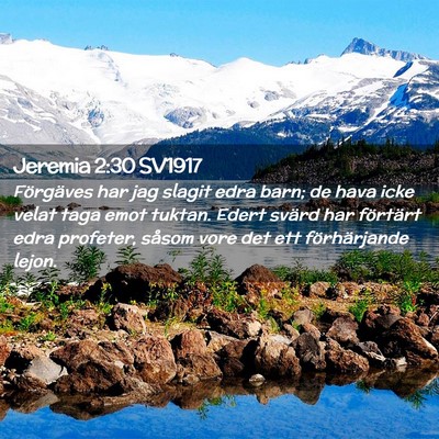 Picture 02 - Jeremia 2:30 SV1917 - Förgäves har jag slagit edra barn; de hava icke - Bible Verse Picture