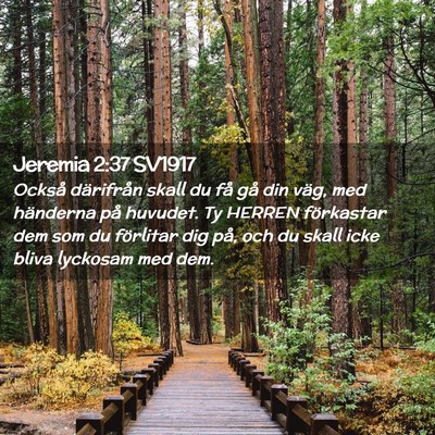 Picture 02 - Jeremia 2:37 SV1917 - Också därifrån skall du få gå din väg, med - Bible Verse Picture