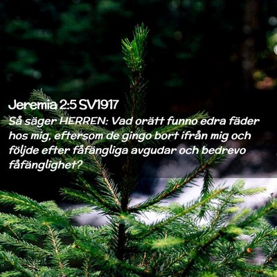 Picture 02 - Jeremia 2:5 SV1917 - Så säger HERREN: Vad orätt funno edra fäder - Bible Verse Picture