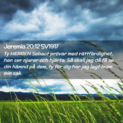 Picture 02 - Jeremia 20:12 SV1917 - Ty HERREN Sebaot prövar med rättfärdighet, han - Bible Verse Picture