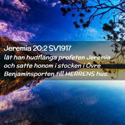Picture 02 - Jeremia 20:2 SV1917 - lät han hudflänga profeten Jeremia och satte - Bible Verse Picture
