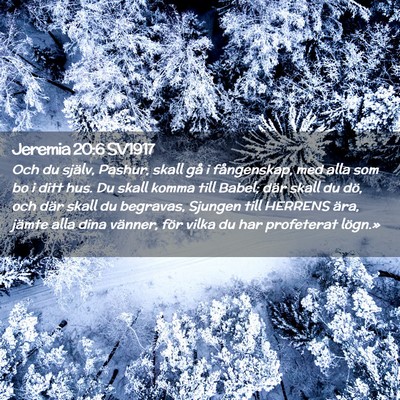 Picture 02 - Jeremia 20:6 SV1917 - Och du själv, Pashur, skall gå i fångenskap, - Bible Verse Picture