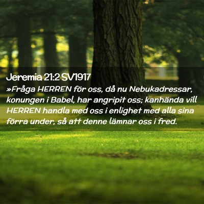 Picture 02 - Jeremia 21:2 SV1917 - »Fråga HERREN för oss, då nu Nebukadressar, - Bible Verse Picture