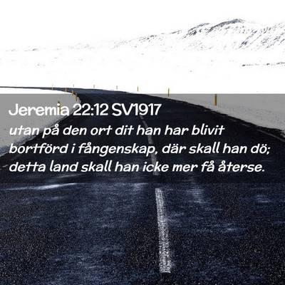 Picture 02 - Jeremia 22:12 SV1917 - utan på den ort dit han har blivit bortförd i - Bible Verse Picture