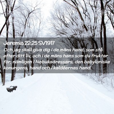 Picture 02 - Jeremia 22:25 SV1917 - Och jag skall giva dig i de mäns hand, som stå - Bible Verse Picture