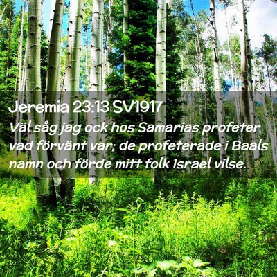 Picture 02 - Jeremia 23:13 SV1917 - Väl såg jag ock hos Samarias profeter vad - Bible Verse Picture