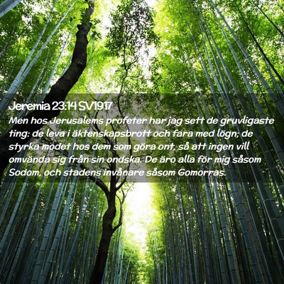 Picture 02 - Jeremia 23:14 SV1917 - Men hos Jerusalems profeter har jag sett de - Bible Verse Picture