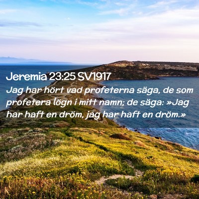 Picture 02 - Jeremia 23:25 SV1917 - Jag har hört vad profeterna säga, de som - Bible Verse Picture