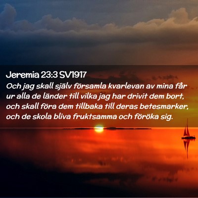 Picture 02 - Jeremia 23:3 SV1917 - Och jag skall själv församla kvarlevan av mina - Bible Verse Picture