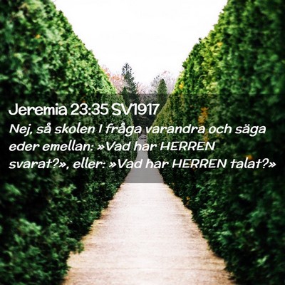 Picture 02 - Jeremia 23:35 SV1917 - Nej, så skolen I fråga varandra och säga eder - Bible Verse Picture