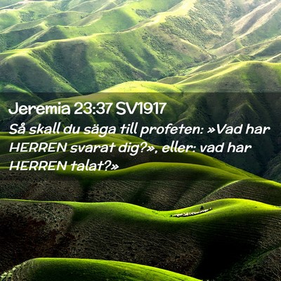 Picture 02 - Jeremia 23:37 SV1917 - Så skall du säga till profeten: »Vad har - Bible Verse Picture
