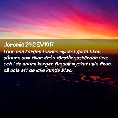 Picture 02 - Jeremia 24:2 SV1917 - I den ena korgen funnos mycket goda fikon, - Bible Verse Picture
