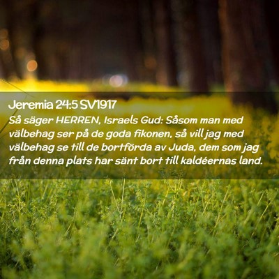 Picture 02 - Jeremia 24:5 SV1917 - Så säger HERREN, Israels Gud: Såsom man med - Bible Verse Picture