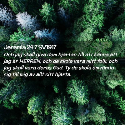 Picture 02 - Jeremia 24:7 SV1917 - Och jag skall giva dem hjärtan till att känna - Bible Verse Picture