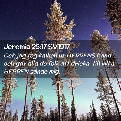 Picture 02 - Jeremia 25:17 SV1917 - Och jag tog kalken ur HERRENS hand och gav alla - Bible Verse Picture