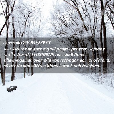 Picture 02 - Jeremia 29:26 SV1917 - »HERREN har satt dig till präst i prästen - Bible Verse Picture