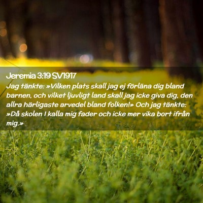 Picture 02 - Jeremia 3:19 SV1917 - Jag tänkte: »Vilken plats skall jag ej - Bible Verse Picture
